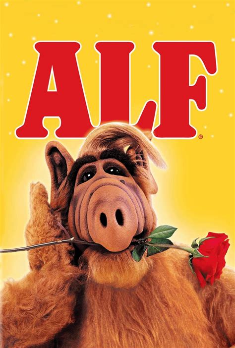 alf youtube|youtube africa alf show 2023.